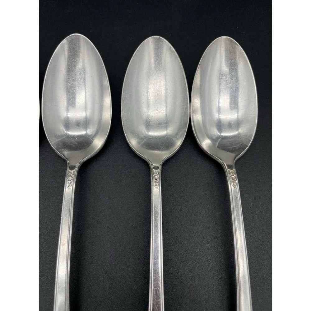 Silver Plate Tablespoon/Serving Spoon Set Of 6 Spring Garden International